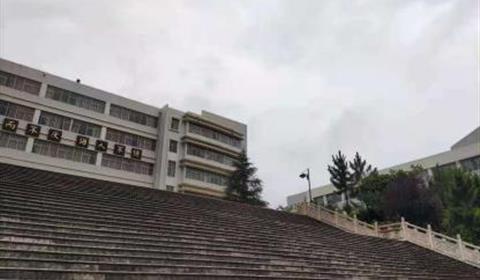 教学阶梯